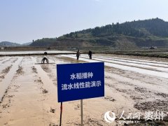 <b>贵州多行动提拔次要粮油做物大面积单</b>