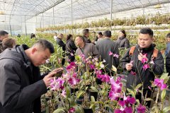 <b>办事“走出去”贵州遵义组织高本质农人赴云南</b>