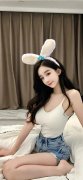 <b>一级二级理论V411轻量版曲拆--IT时代网</b>