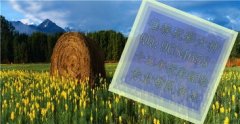 去做什么项目赔本多